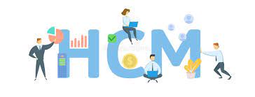 Pelatihan Human Capital Management and Development