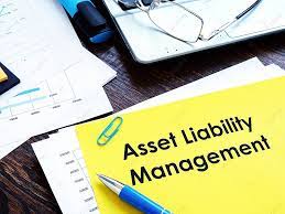 Pelatihan Asset and Liability Management