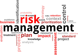 Pelatihan Risk Management and Business Development Analysis