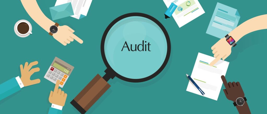 Training Audit Command Language