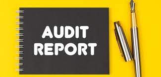 Pelatihan Basic Skill for Auditor and Reporting