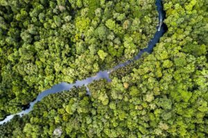 Pelatihan Permasalahan Izin Pinjam Pakai Kawasan Hutan