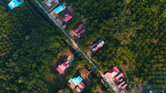 Penyusunan Laporan HCV (High Conservation Value) dan SIA (Social Impact Assessment)