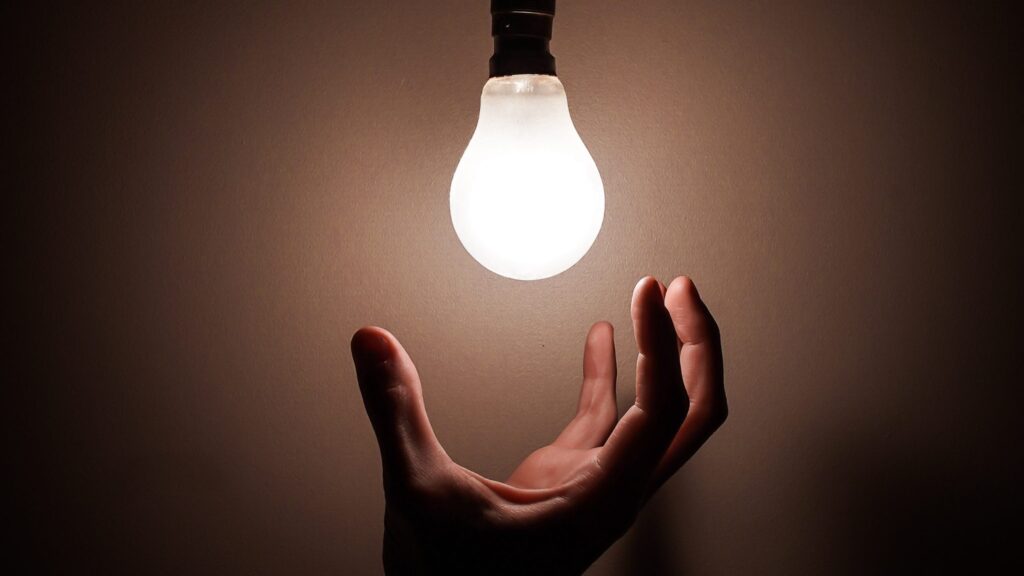 intrapreneurship