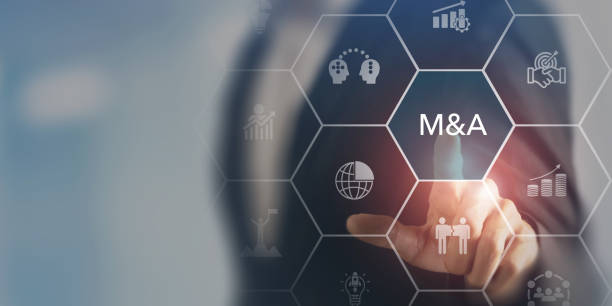 Pelatihan Basic Understanding of Merger and Acquisition