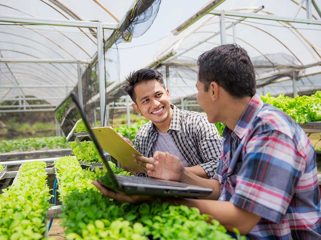 Pelatihan Kewirausahaan Agribisnis