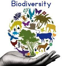 Training Biodiversity