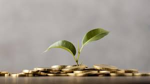 Pelatihan Green Finance