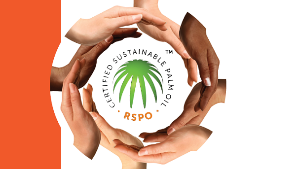 Training Audit Internal RSPO & ISPO