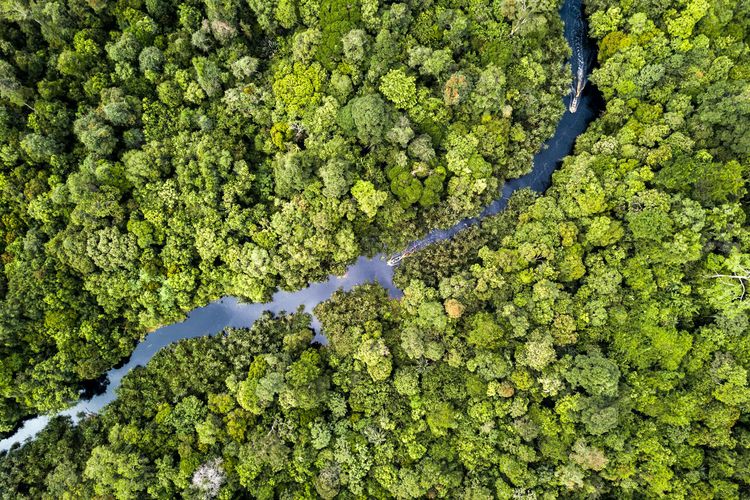 Pelatihan Permasalahan Izin Pinjam Pakai Kawasan Hutan