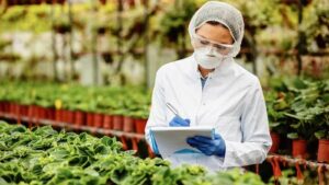 Pelatihan Implementasi ISO 22000:2018