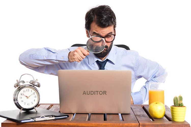 Training Fraud Auditing Command Language (ACL)