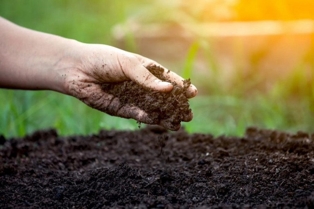 Pelatihan Manajemen Agribisnis Pengelolaan Tanah