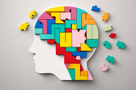 Curriculum & Learning Program Design
