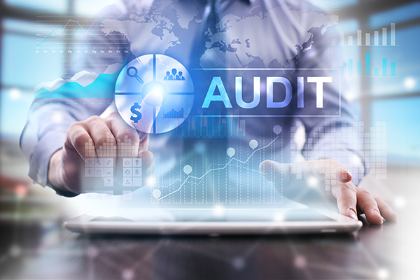 Training Risk Based Audit (RBA)
