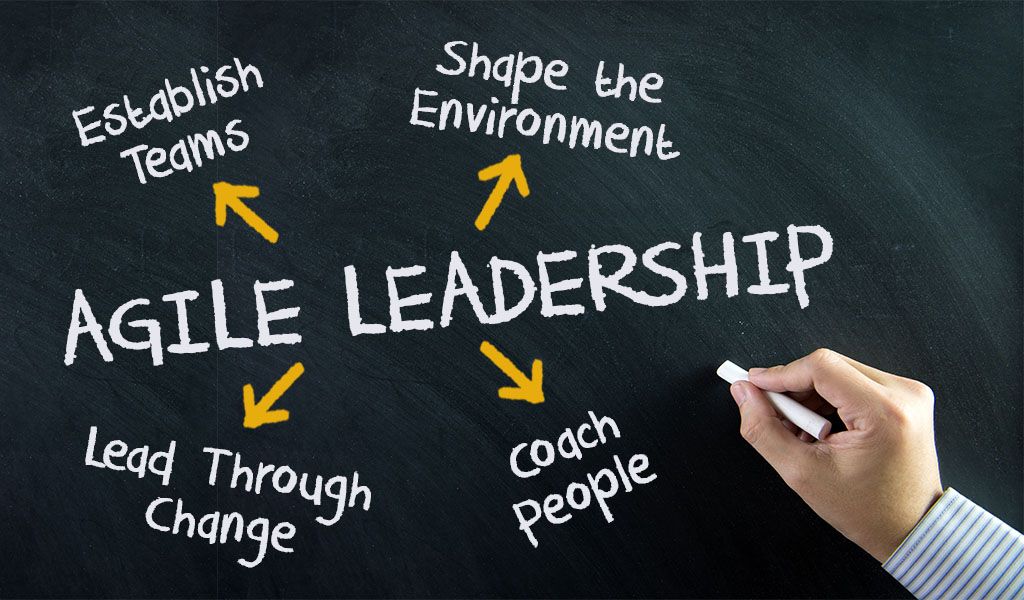 Agile Leadership & Adaptability